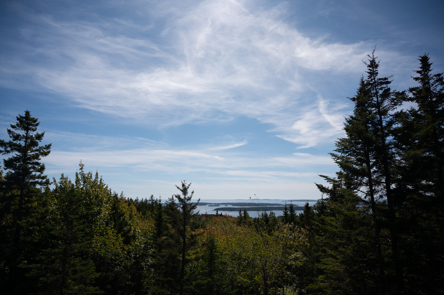 Distant islands framed by a forest in the foreground.
