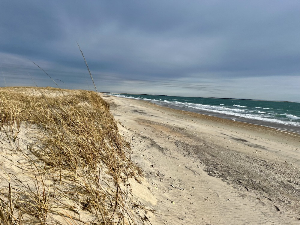 Ocean beach with small sand dunes