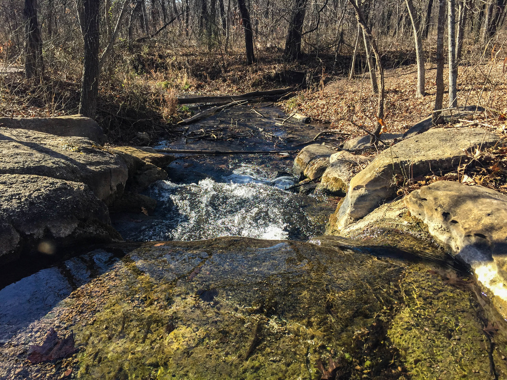 Creek running through woods bare of foliage during winter