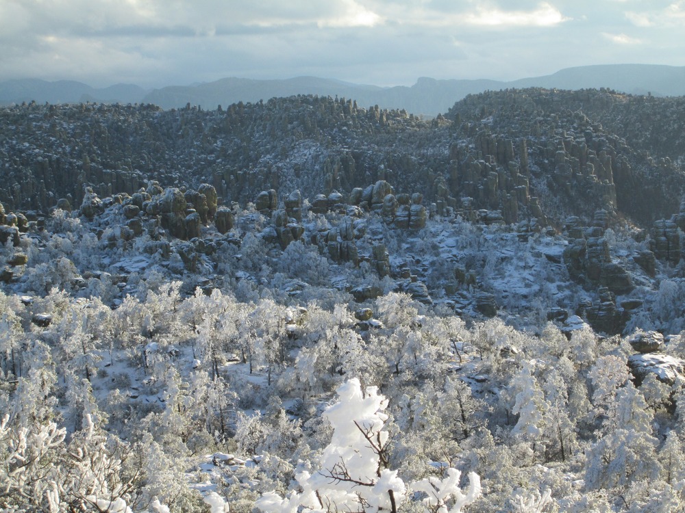 snow and blowing snow on trees at rocks