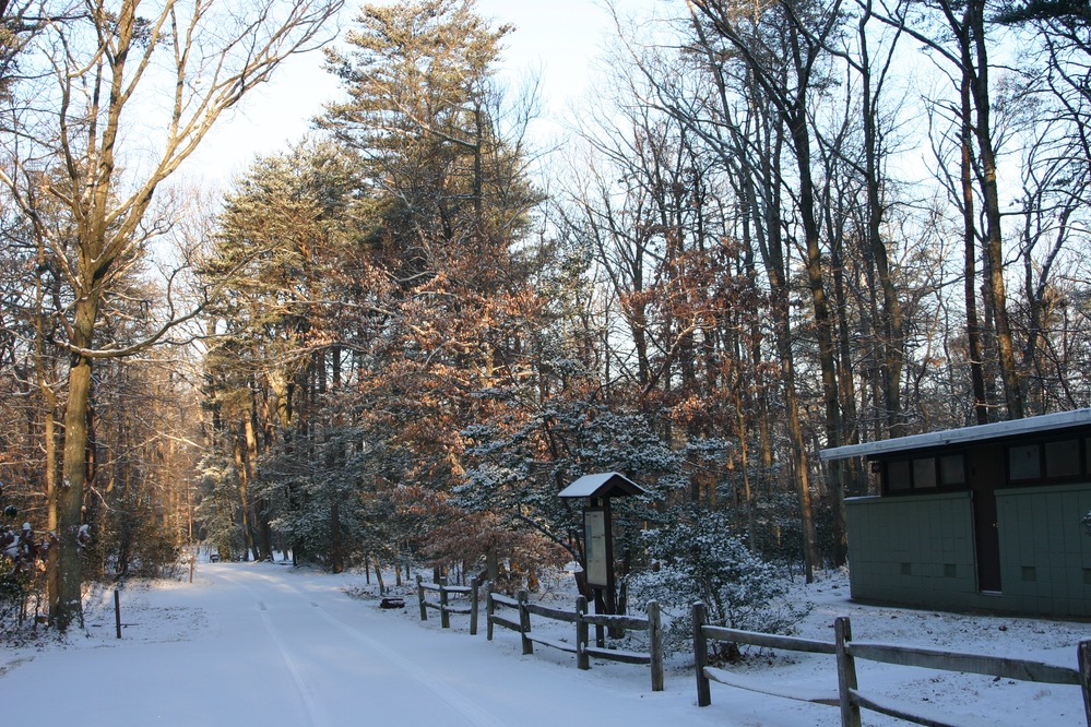 A snowy landscape in a campground surrounded by trees. 