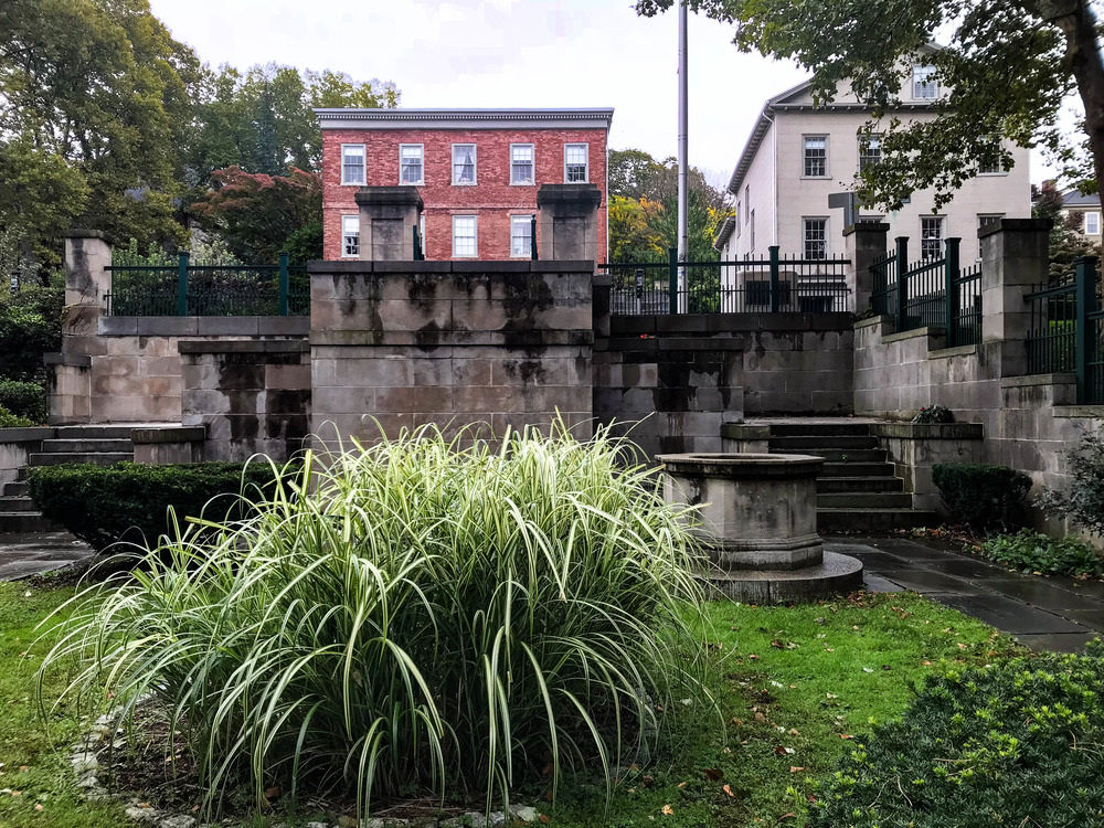 Garden in a downtown area