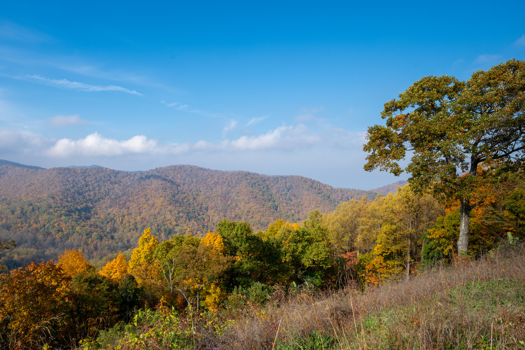 Yellow and orange leaves cover mountain slopes under a bright blue sky.