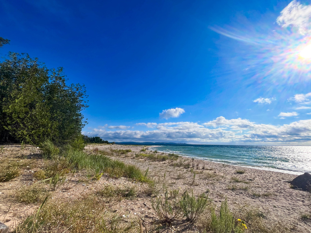 Lake coast with a sandy area leading up to dune grass