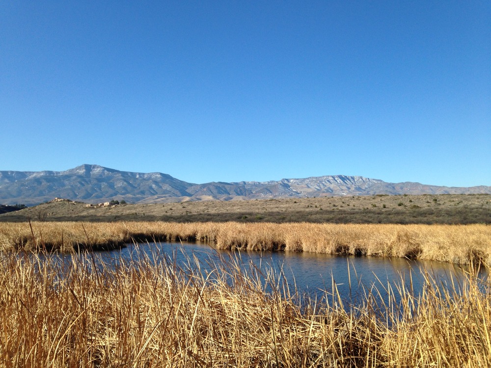 Photograph of Tuzigoot landscape. Brown grassy plains with some open water in the foreground, hills with pueblo structures in the middle distance, and mountains rising in the distance. Clear blue sky completes the scene. 